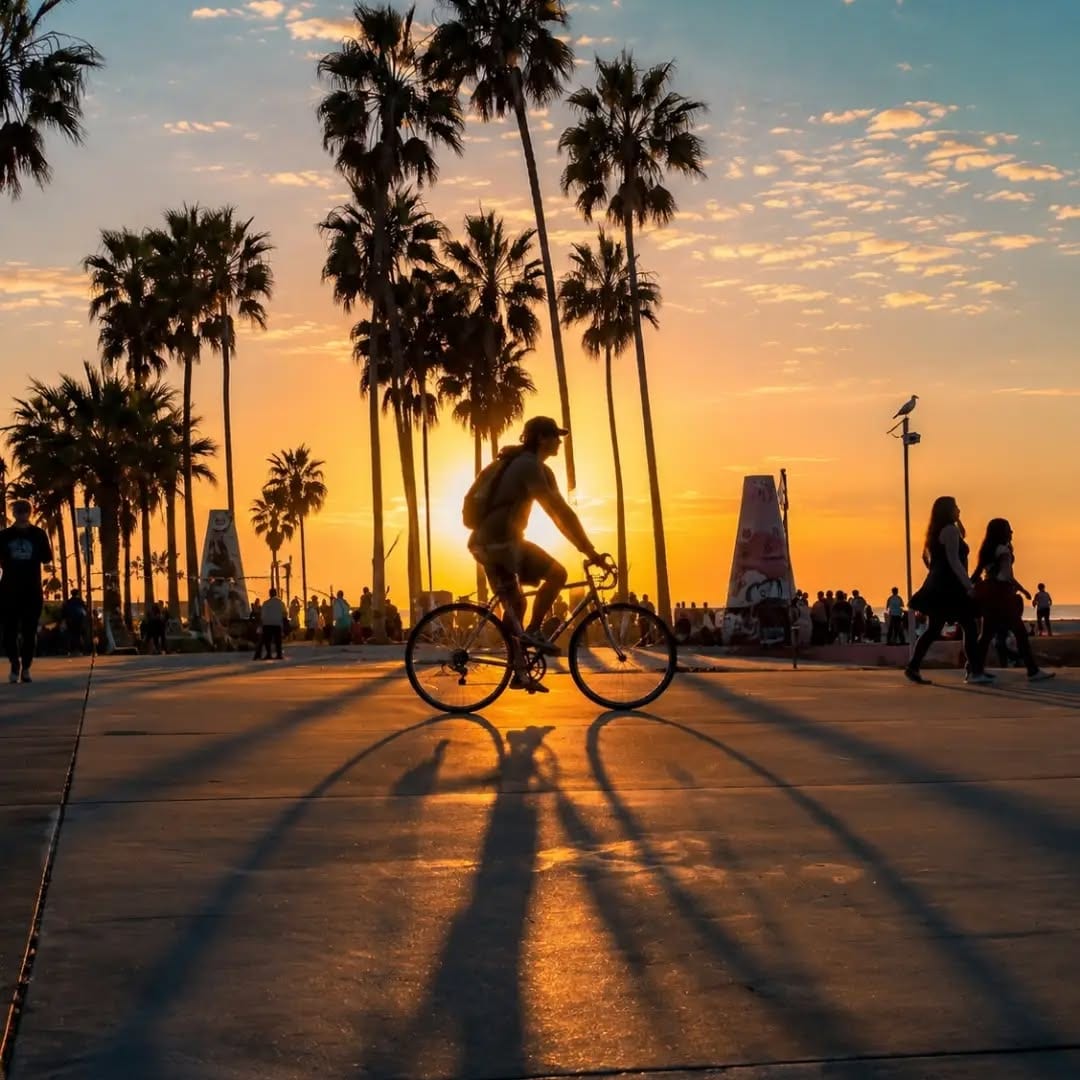 Palm-lined Los Angeles promenade beside the ocean